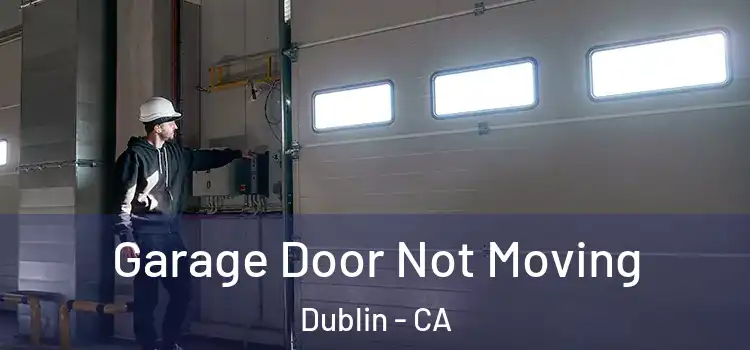  Garage Door Not Moving Dublin - CA