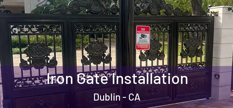 Iron Gate Installation Dublin - CA